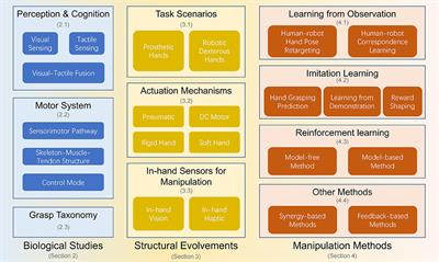 A Survey of Multifingered Robotic Manipulation: Biological Results, Structural Evolvements, and Learning Methods